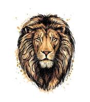 Portrait of a lion head from a splash of watercolor hand drawn sketch Vector illustration of paints