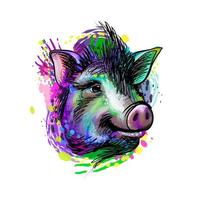 Portrait of a pig head from a splash of watercolor Chinese Zodiac Sign Year of Pig hand drawn sketch Vector illustration of paints