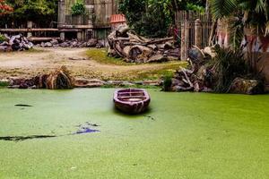 Oasis en la jungla en el parque zoológico de Auckland Auckland, Nueva Zelanda