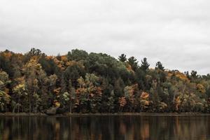 body of water and trees photo