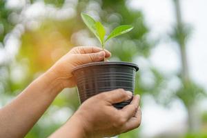 Plant a tree in flowerpot concept of save earth and the environment world earth day photo