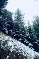 nieve en la montaña en temporada de invierno foto