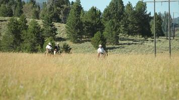 retrato, de, vaqueros, a caballo video