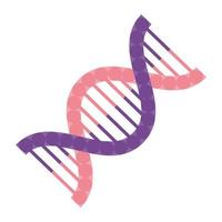 dna genetic molecule vector