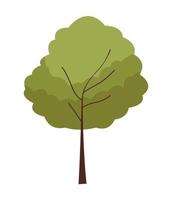 tree plant forest vector