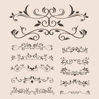 black ornament element icon set on isolated background vector design