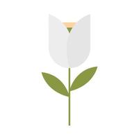 flower tulip decoration vector