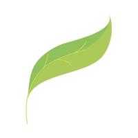 leaf environment nature vector