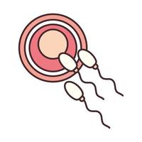 fertilization ovum sperm vector