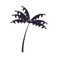 palm tree silhouette vector