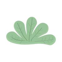 plant leaves nature vector