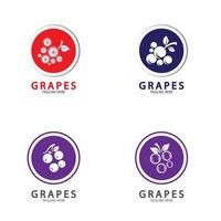 uvas vector logo icono aislado