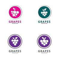 uvas vector logo icono aislado