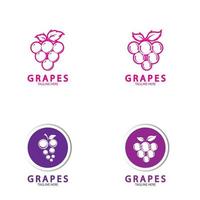 uvas vector logo icono aislado