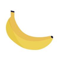 plátano fruta tropical vector