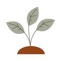 gardening growth plant icon on white background vector