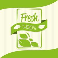 fresh organic product vector