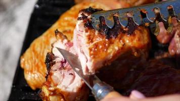 Grillen von Fleisch auf einem Picknick-Schneidemesser video