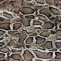 Snake Skin Pattern Vector Art, Icons, and Graphics for Free Download