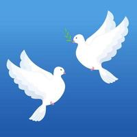 White doves with olive twig on a blue background vector