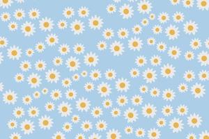 Daisy white yellow flower vector pattern illusion on floral blue background