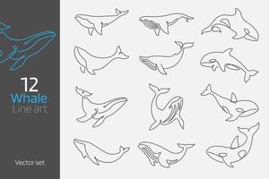 Set of whale continuous line art vector illustration