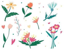 Set of wildflowers Botanical collection Wildflowers herbs leafs Garden and wild foliage flowers Elegant spring plants for floristry fabric textile greeting postcard Vector illustrations