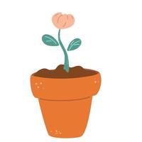 Blooming flower in a pot Floral pot Plant bloom stages Growing plant Vector cartoon flat illustration