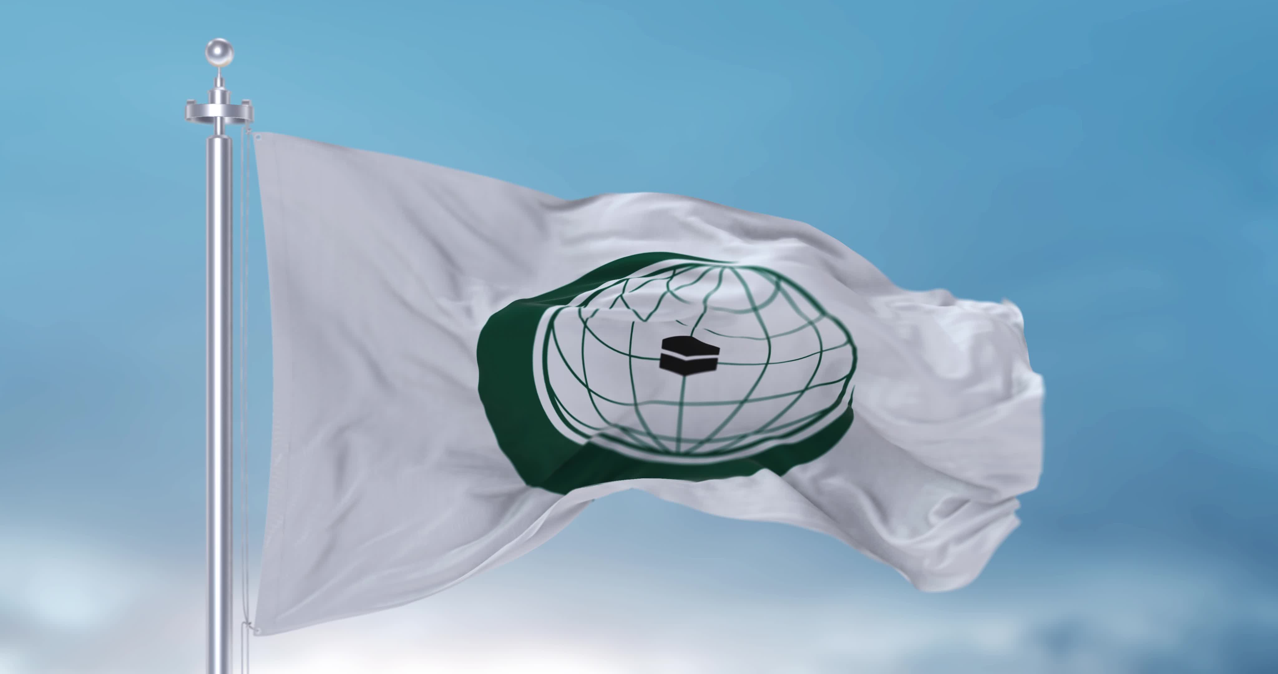 Waving Flag of Organisation of Islamic Cooperation OIC 2498675 Stock