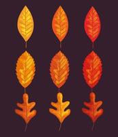 autumn leaves set vector design