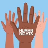 Human rights with diversity hands vector design