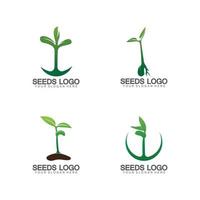 vector de plantilla de concepto de logotipo de semillas de plantas