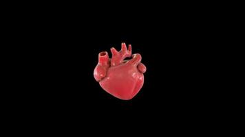 Human Heart Pumping 3D Animation on Black Background