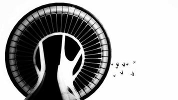 Silhouette group of birds Flying roaming abound top of the Building tower view 3D seamless animation on the white background seamless loop video