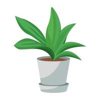 houseplant in ceramic pot nature icon vector