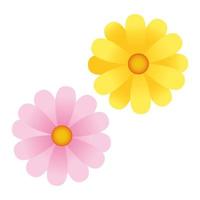 flowers yellow and pink colors icons vector