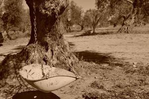 Old swing in sepia color photo