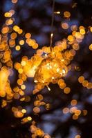 Bokeh árbol luz decoración casa acogedora y la fabulosa fiesta y noche de Navidad los árboles al aire libre han sido decorados con luces amarillas. foto