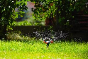 Rotating garden sprinkler watering grass photo