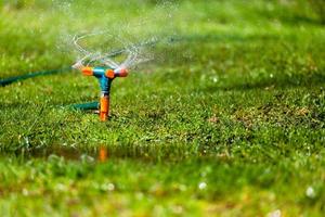 Garden sprinkler watering grass photo