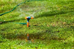 riego por aspersión de jardín césped foto