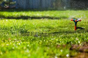 riego por aspersión de jardín césped foto