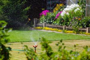 Garden sprinkler watering grass and flowers photo