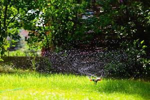 riego por aspersión de jardín césped foto