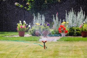 Garden sprinkler watering grass and flowers photo