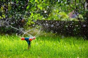 Rotating garden sprinkler watering grass photo