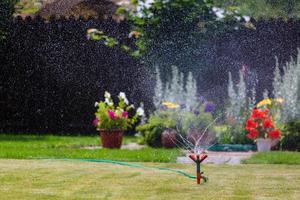 Garden sprinkler watering grass and flowers photo