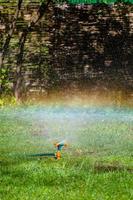 Garden sprinkler watering grass photo
