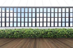 Tropical green leaf wall and window frame with clipping path photo