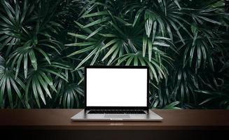 Modern laptop  isolated on green leaf background 3D illustration photo